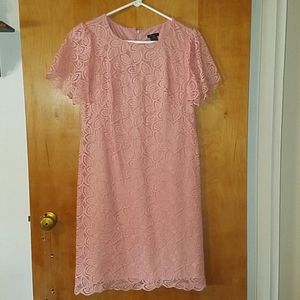 Eyelet Salmon Dress ANN TAYLOR